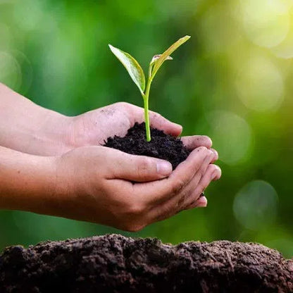 Vermicompost Fertilizer for Plants (Pack of 2)